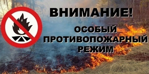 О введении особого противопожарного режима.